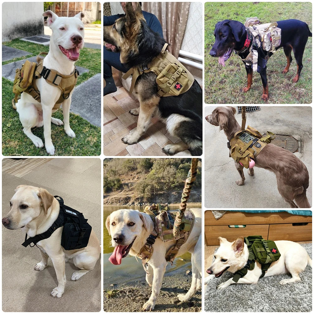 K9 Tactical™ Harness