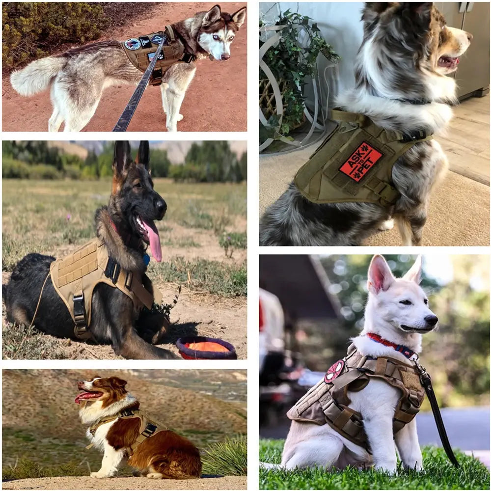 K9 Tactical™ Harness