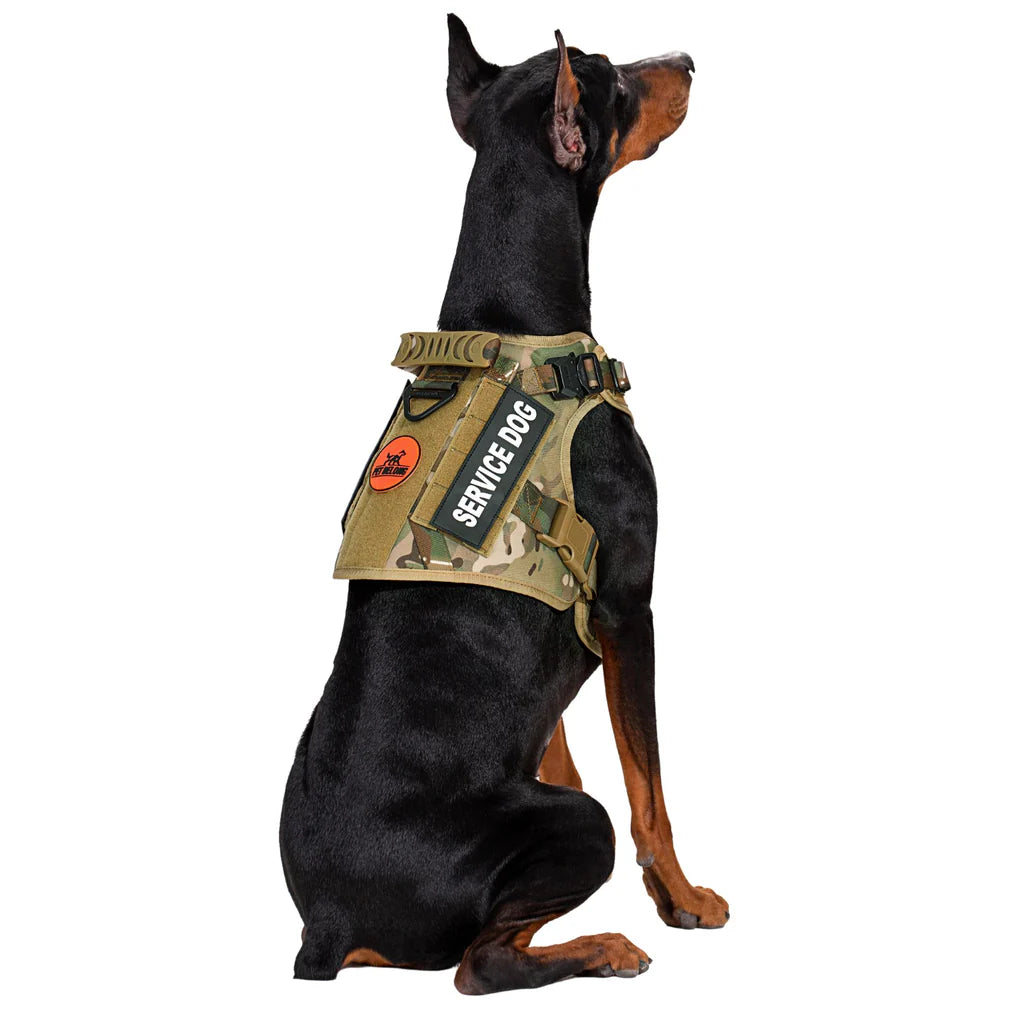 K9 Tactical™ Harness